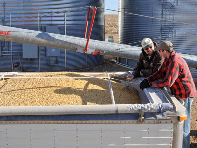 When hiring seasonal labor for your farm or business, it&#039;s a challenge to determine how we should classify and pay for the hours worked. (DTN/Progressive Farmer file photo)
